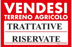 vendesi-terreno-agricolo